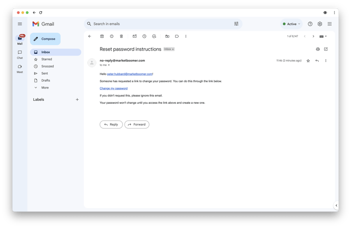 Reset Password Email 